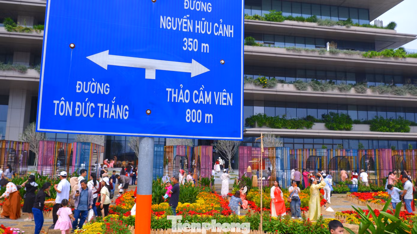 tp-tet-991.jpg