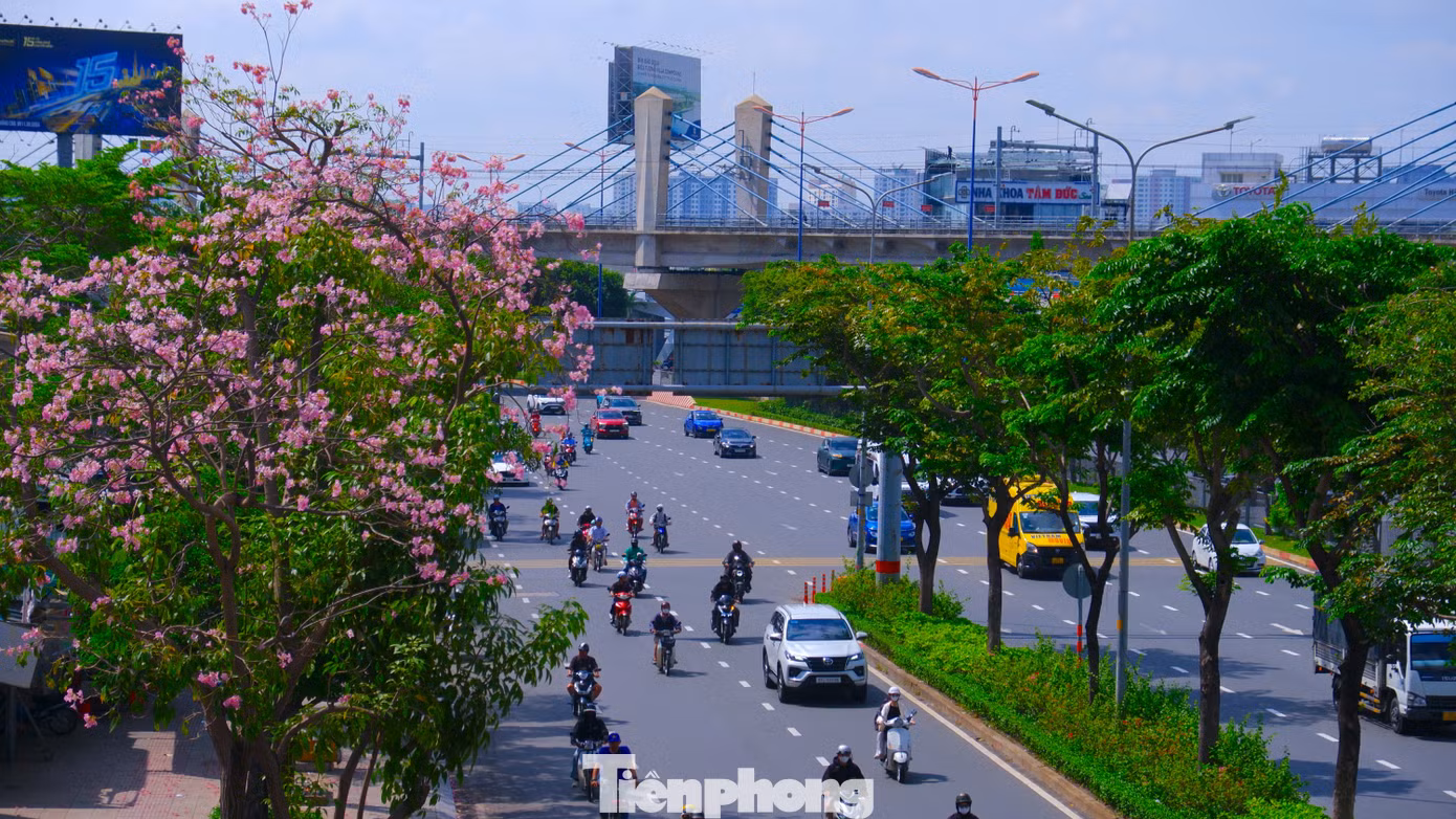 tp-ken-hong-18.jpg