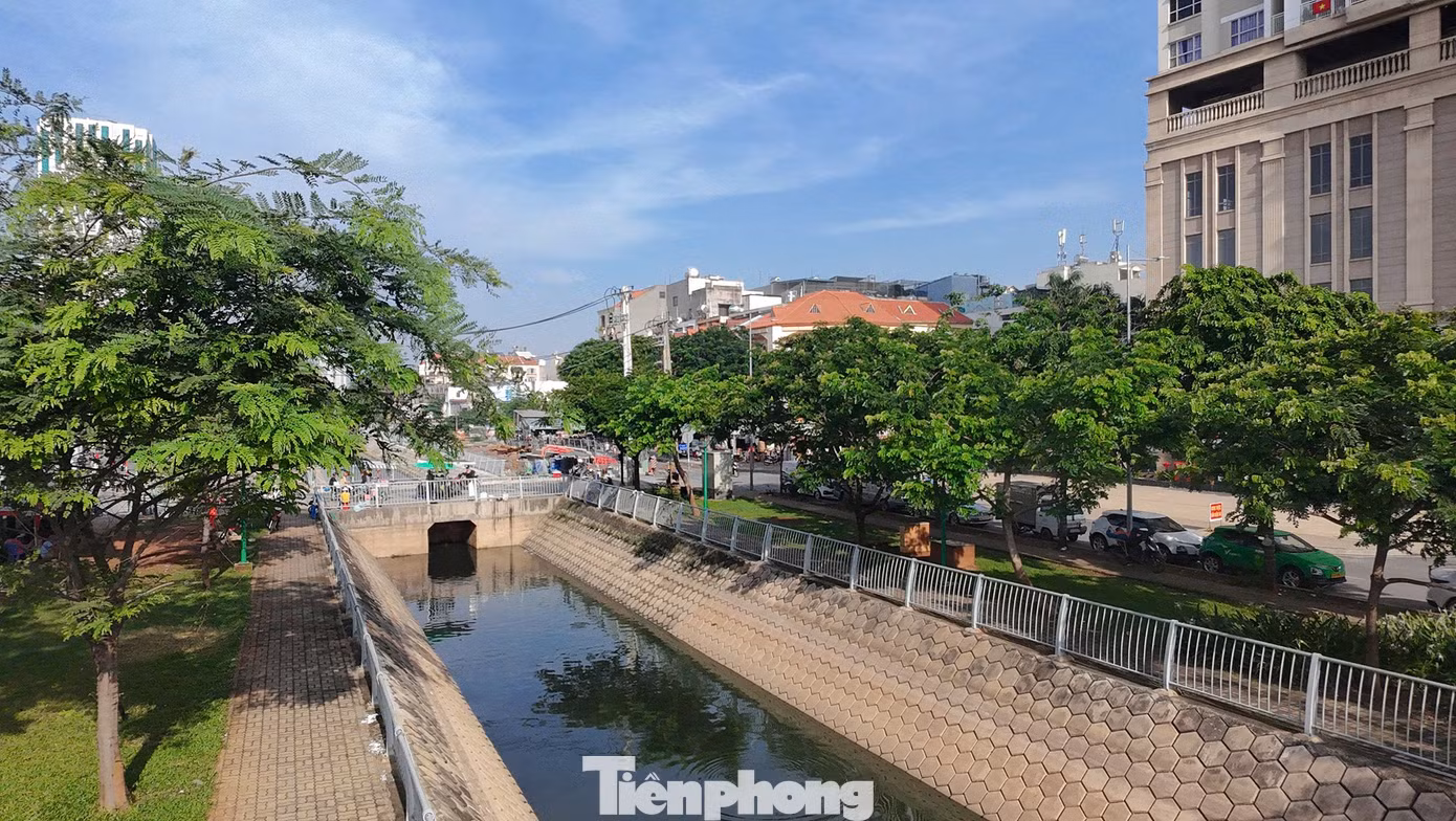 tp-hang-bang-5.jpg