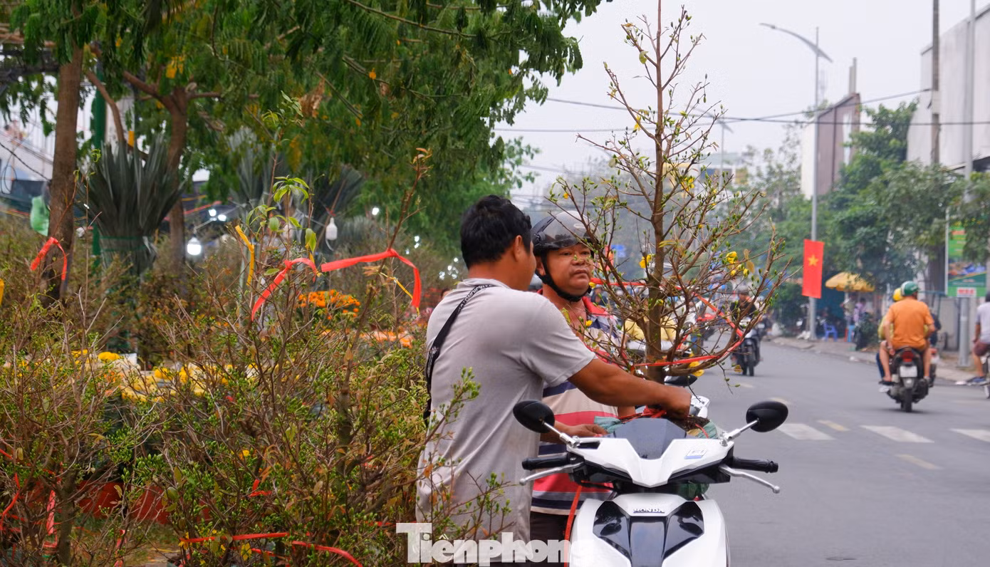 tp-tren-ben-duoi-thuyen-6.jpg