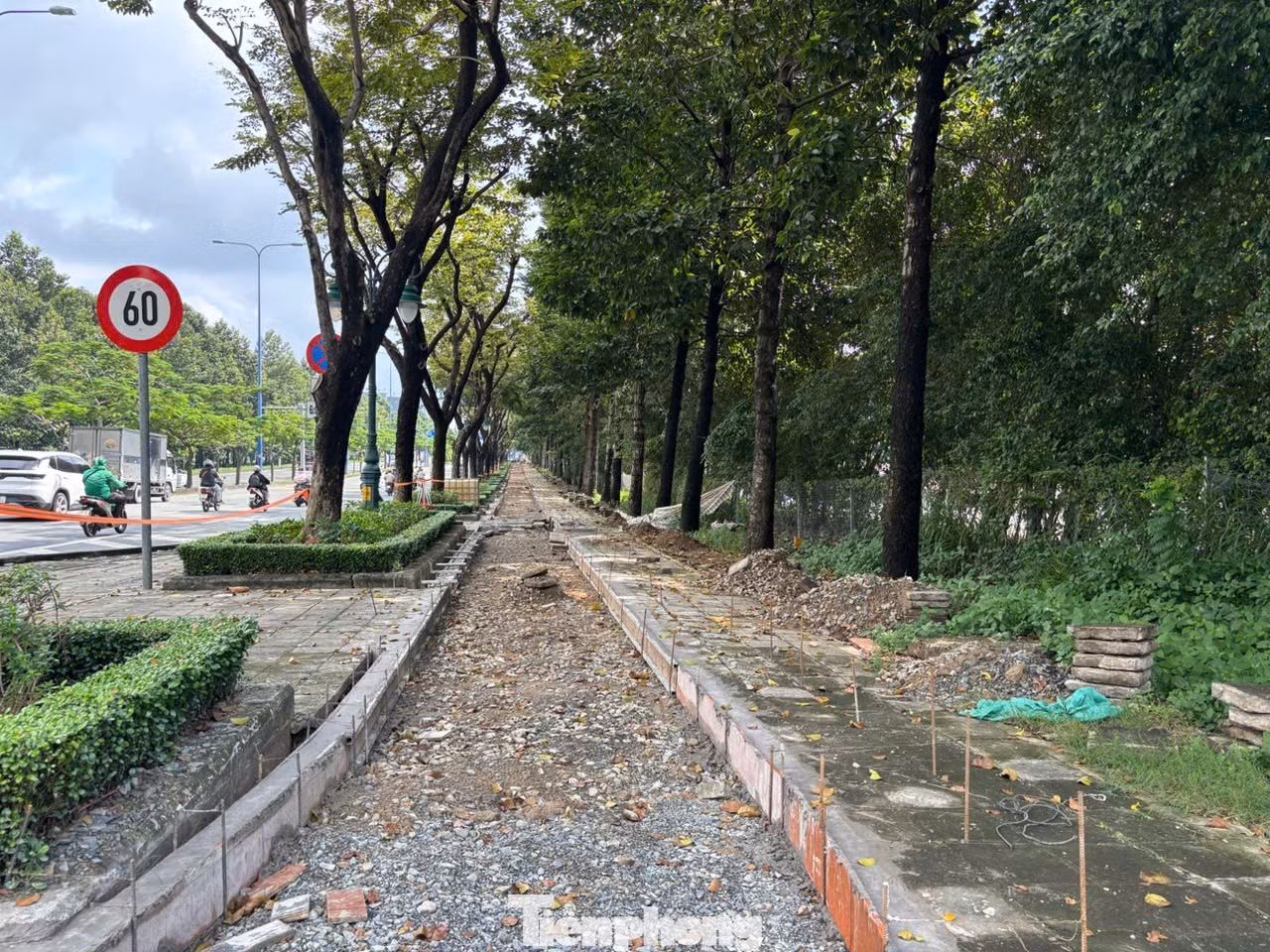 tp-anh-17.jpg