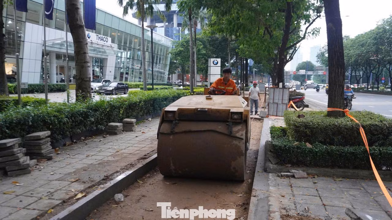 tp-anh-20.jpg