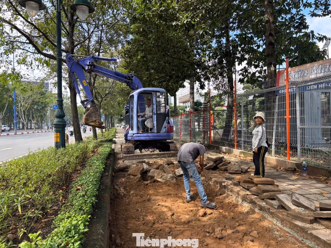 tp-anh-14.jpg