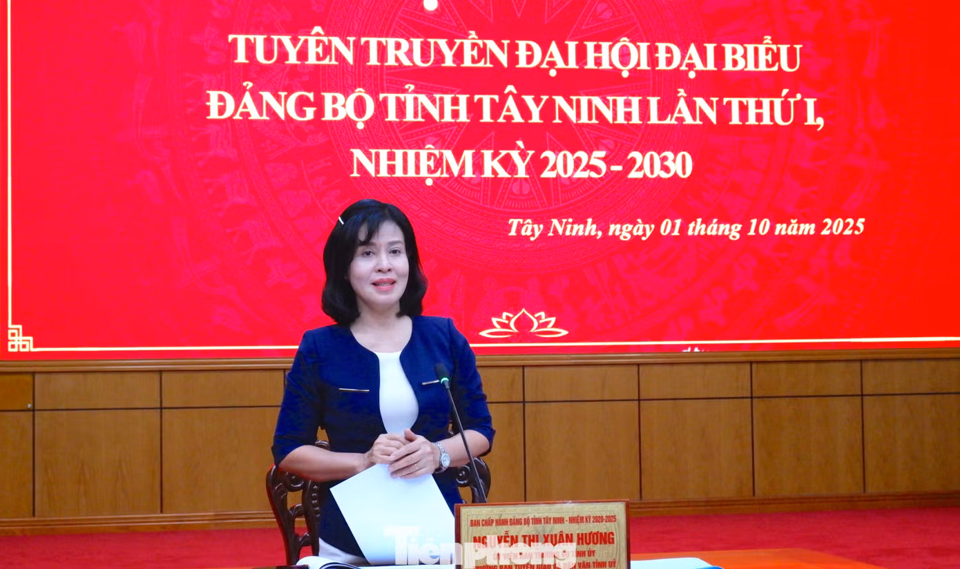 tp-hop-bao.jpg