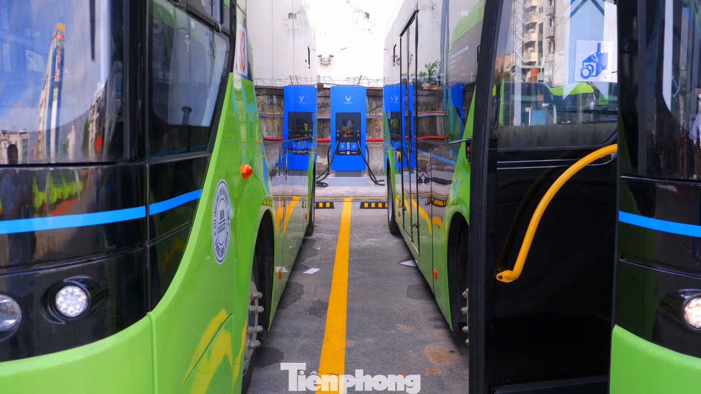 tp-vinbus-8.jpg