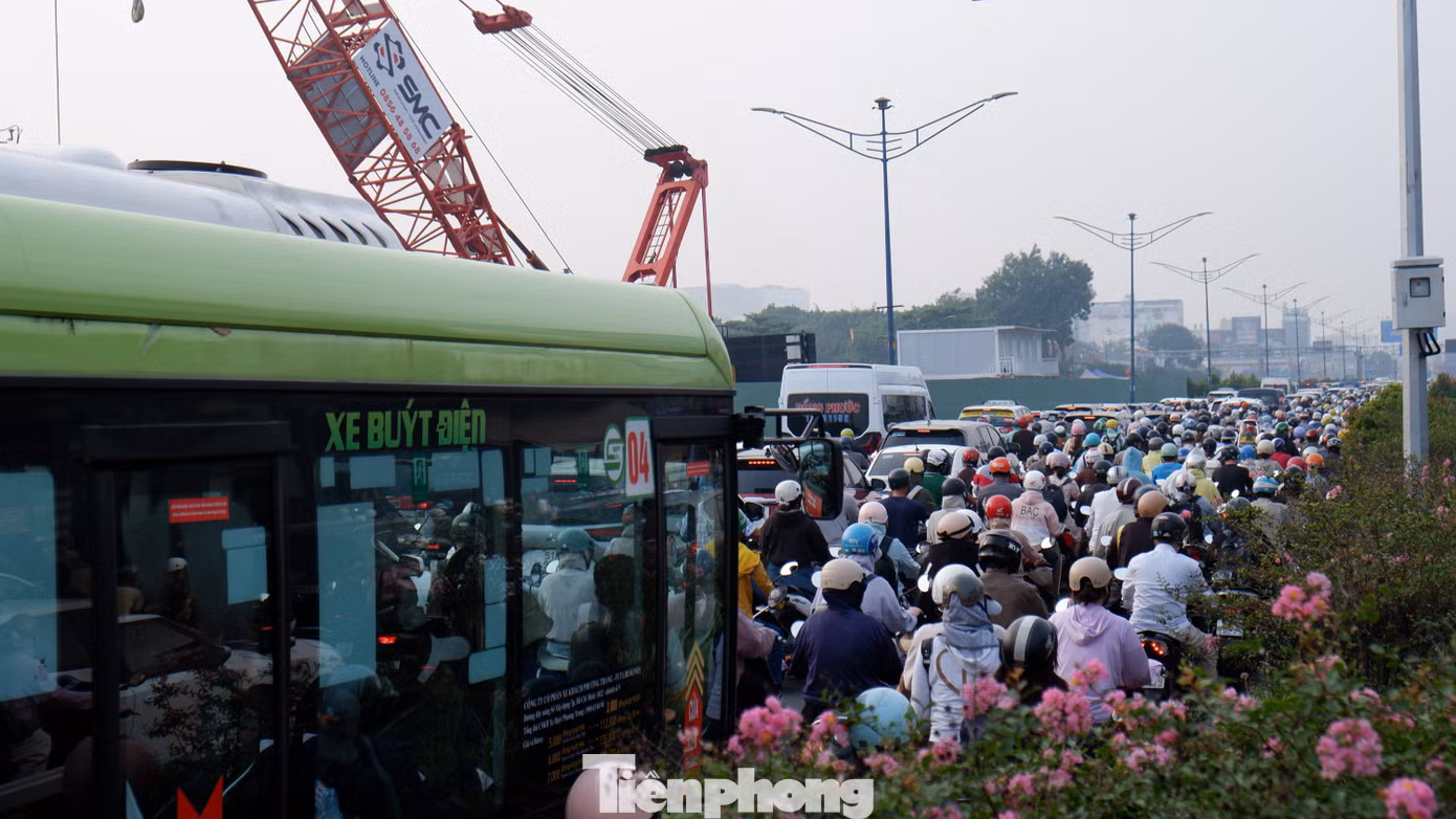 tp-metro-8066.jpg