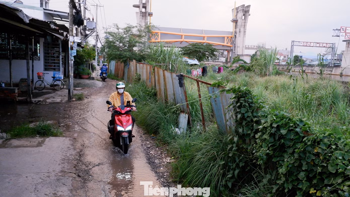 tp-phu-dinh-12.jpg