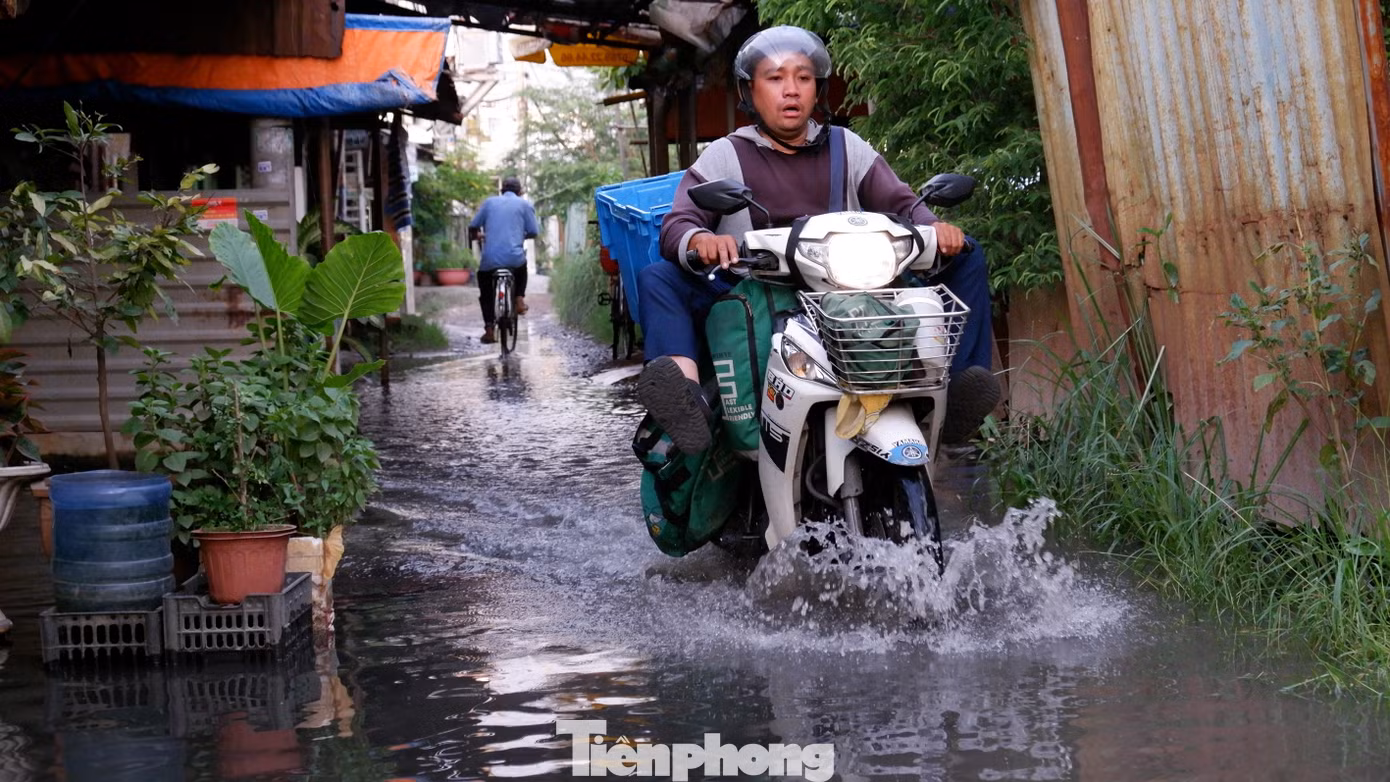 tp-phu-dinh-1.jpg