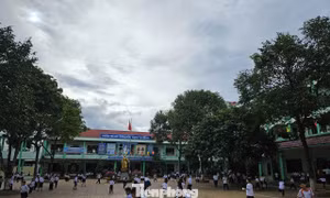 Đắk Lắk chi hơn 31 tỷ đồng trả phụ cấp còn thiếu cho giáo viên