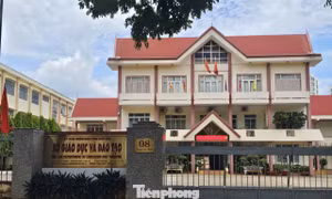 Sở Giáo dục Đắk Lắk báo cáo tỉnh lý do 'tắc' xét thăng hạng giáo viên cả chục năm