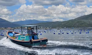 Lồng bè ken đặc ở ‘thủ phủ’ tôm hùm