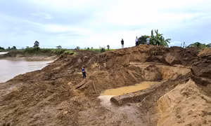 Đào tan hoang bờ sông ở Gia Lai để khai thác thân gỗ khủng