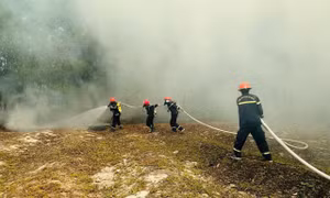 Quảng Trị dồn toàn lực đối phó với nhiều đám cháy rừng trên địa bàn 