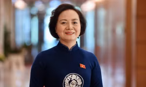 Chi tiết lãnh đạo thuộc Chính phủ trúng cử đại biểu Quốc hội khóa 16