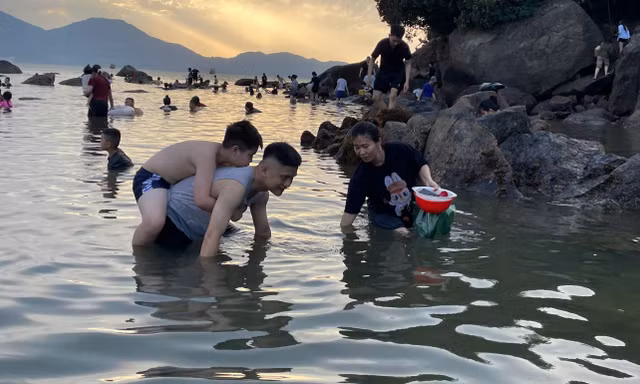 Chiều hè, phụ huynh Đà Nẵng đưa con ra biển lội rêu, bắt ốc