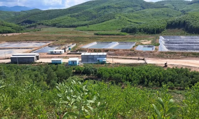  Trại nuôi heo quy mô hơn vạn con gây ô nhiễm nặng ở Đắk Lắk 