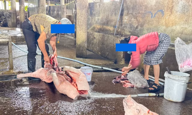 Chủ lò mổ ‘tố’ cán bộ thú y, 'đòi' gặp chủ tịch tỉnh Quảng Trị 