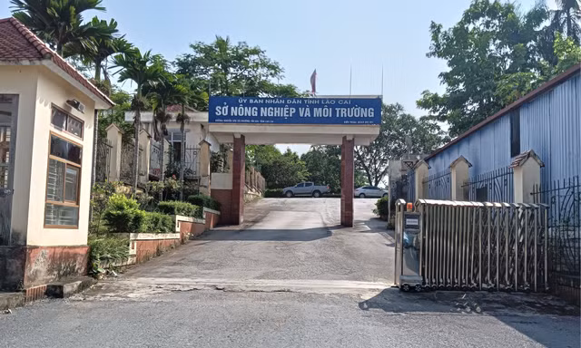 Nam cán bộ Sở Nông nghiệp và Môi trường Lào Cai tử vong tại cơ quan