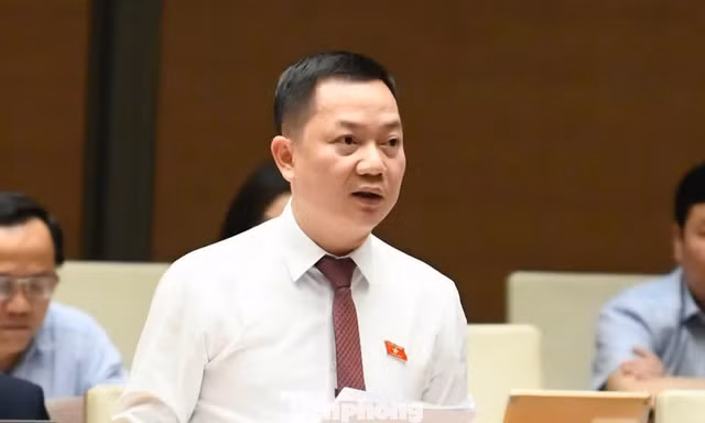 Đề xuất mới về kinh doanh kim cương, bán hợp đồng kỳ nghỉ 