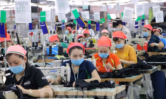 Đồng Nai yêu cầu doanh nghiệp tạo điều kiện để công nhân đi bầu cử 