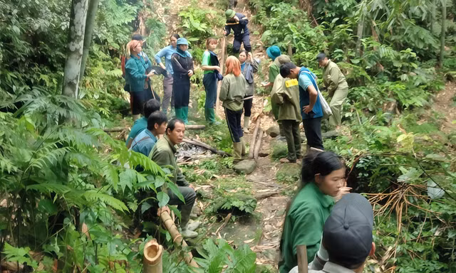 Một người đàn ông mất tích bí ẩn trong rừng ở Tuyên Quang