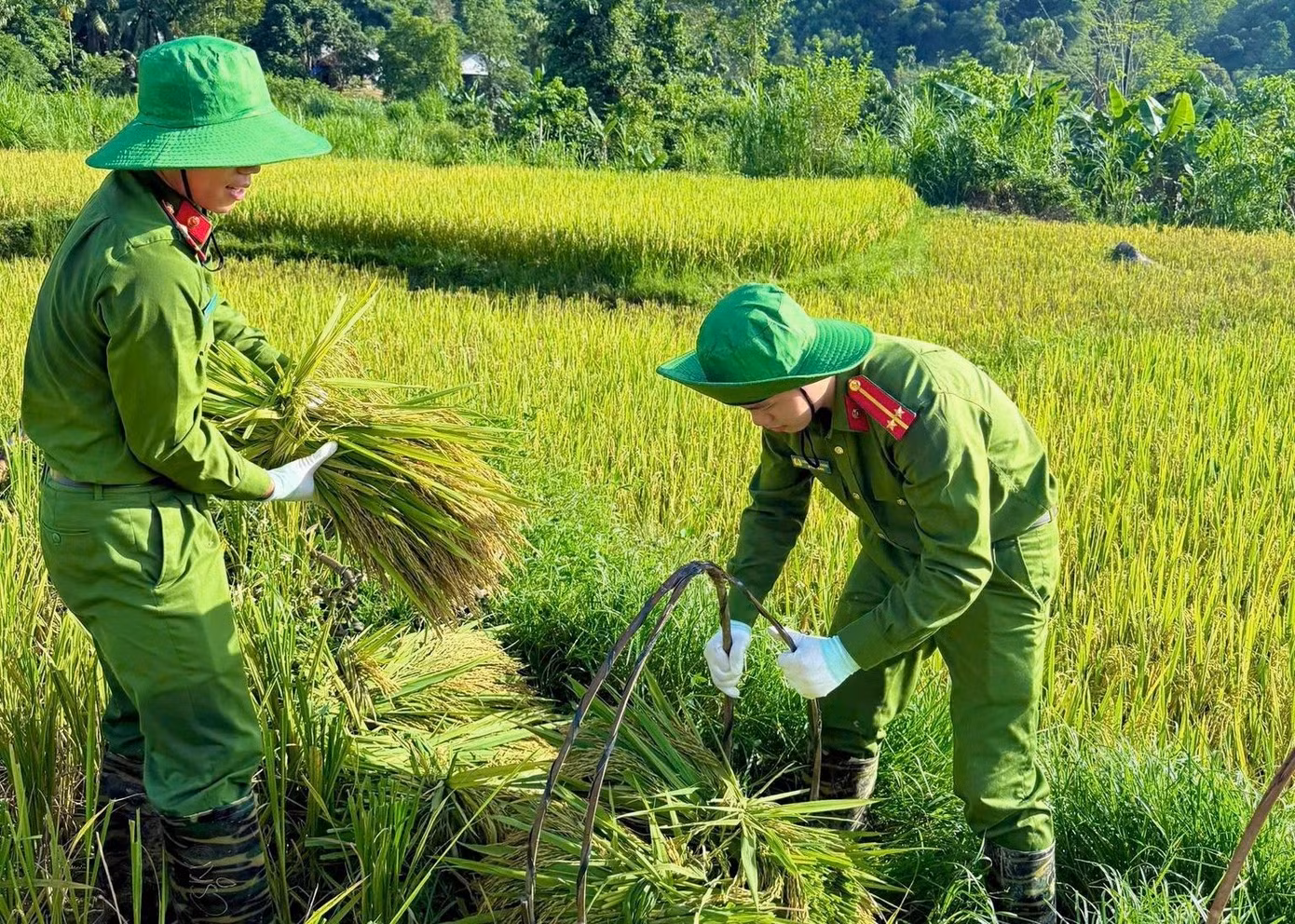 thanh-quan-1.jpg