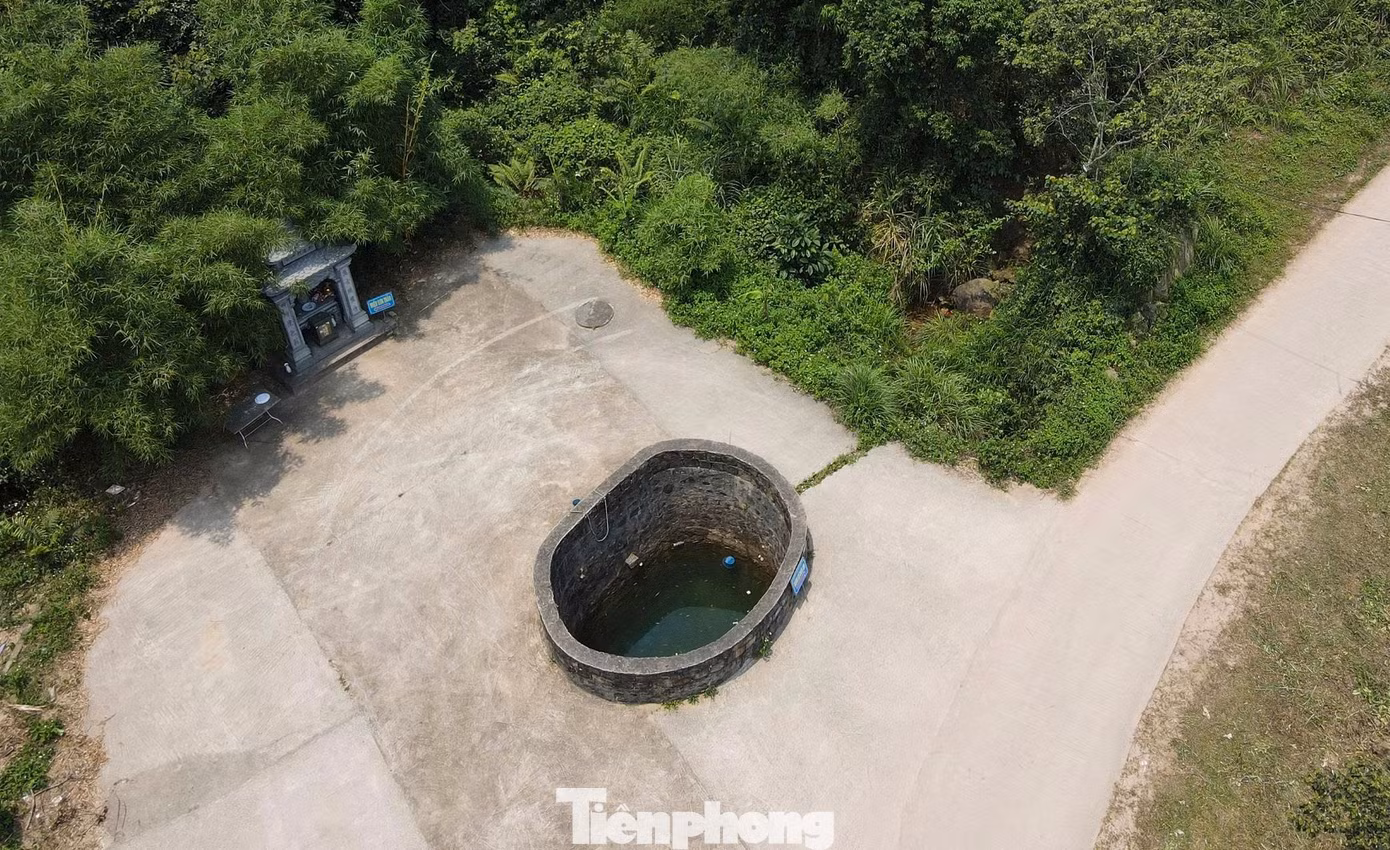 tp-11-2606.jpg