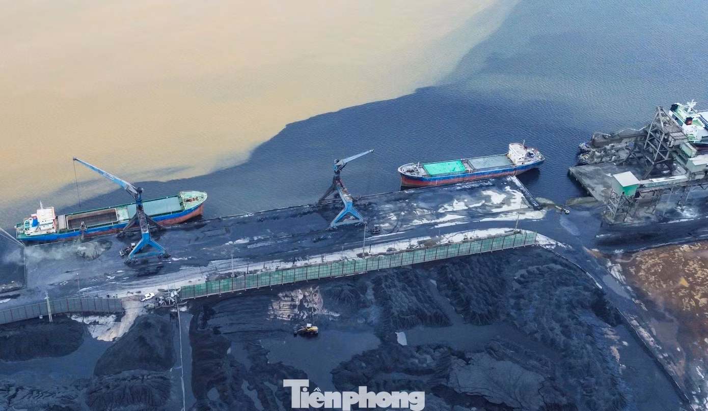 tp-2.jpg