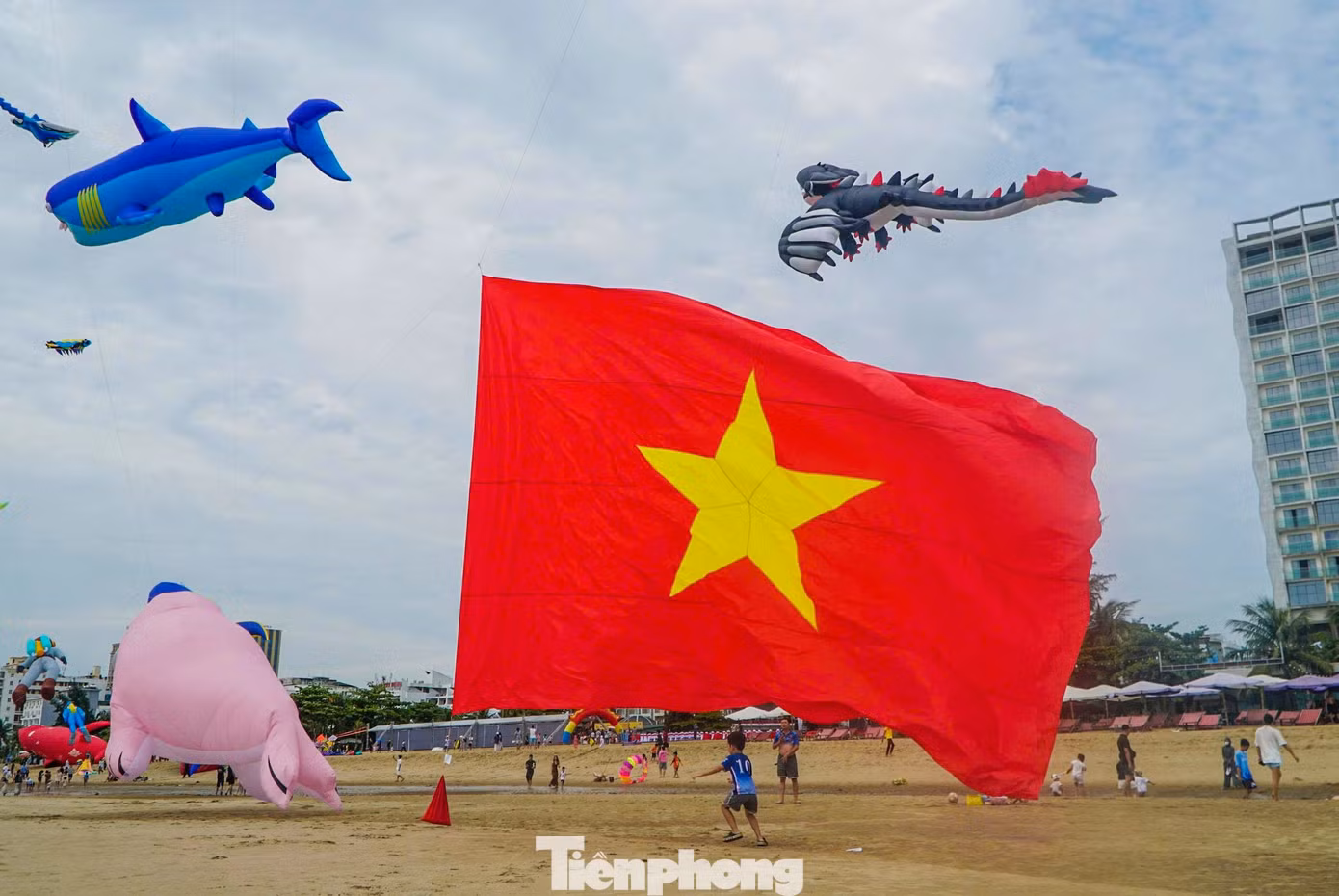 tp-1.jpg