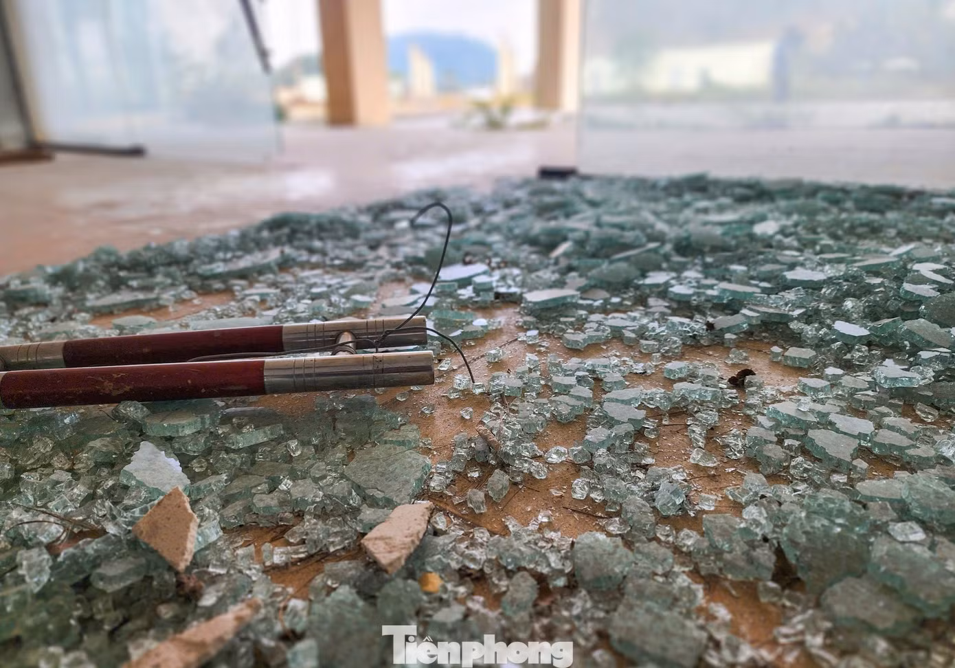 tp-16.jpg