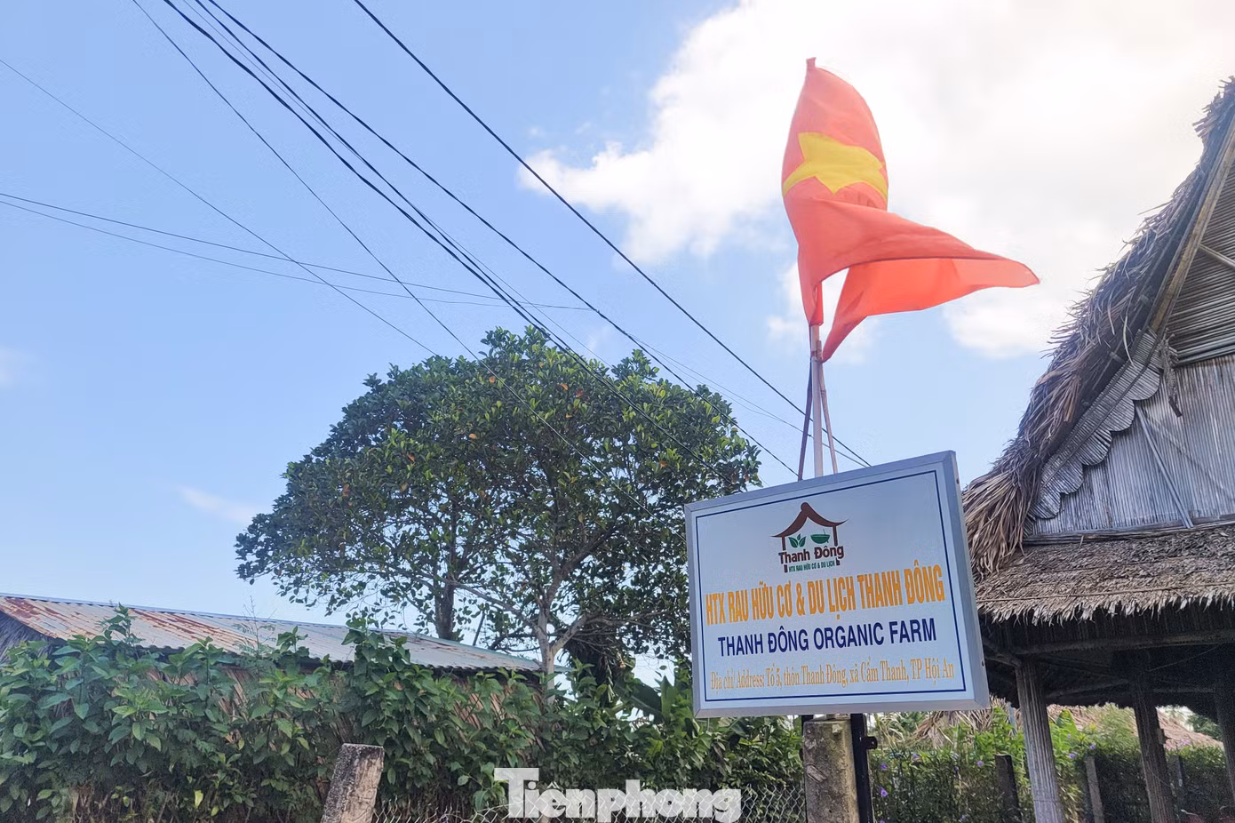 tp-du-khach-trong-rau-1.jpg