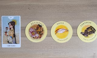 Tarot tuần này: Bạch Dương rủng rỉnh tiền bạc, Sư Tử có người thầm yêu?