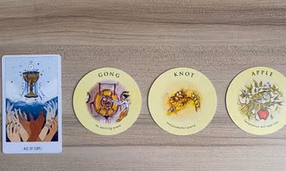 Tarot tuần này: Ma Kết đong đầy tình yêu thương, Song Ngư phát triển “thần tốc”