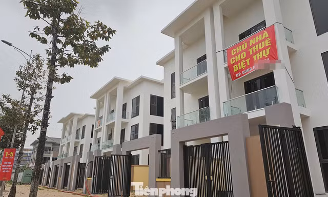 Giao dịch nhà ở thấp tầng đi ngang
