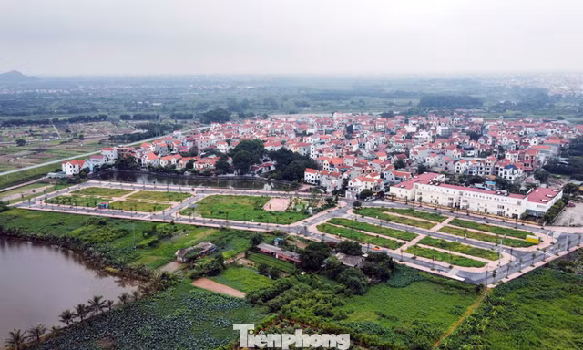 Nâng tiền đặt cọc lên 50%, đất đấu giá diễn biến ra sao?
