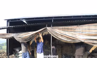 Tháo dỡ cơ sở đốt than trái phép, gây ô nhiễm tại Lào Cai