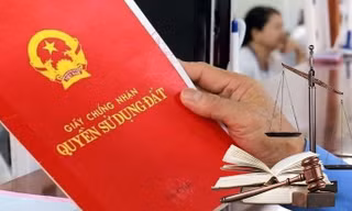 Lập tổ xác minh phản ánh 'cò làm thủ tục' tại văn phòng Đăng ký đất đai ở Cà Mau