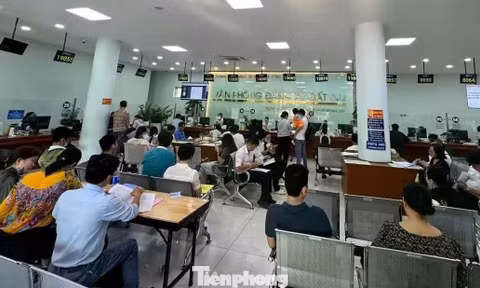 TPHCM: Chỉ đạo 'nóng' về hỗ trợ người dân nộp hồ sơ nhà đất